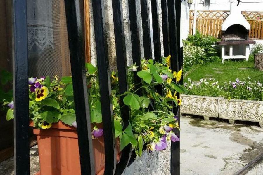 Casa Rural Zubiarena Satrustegui المظهر الخارجي الصورة